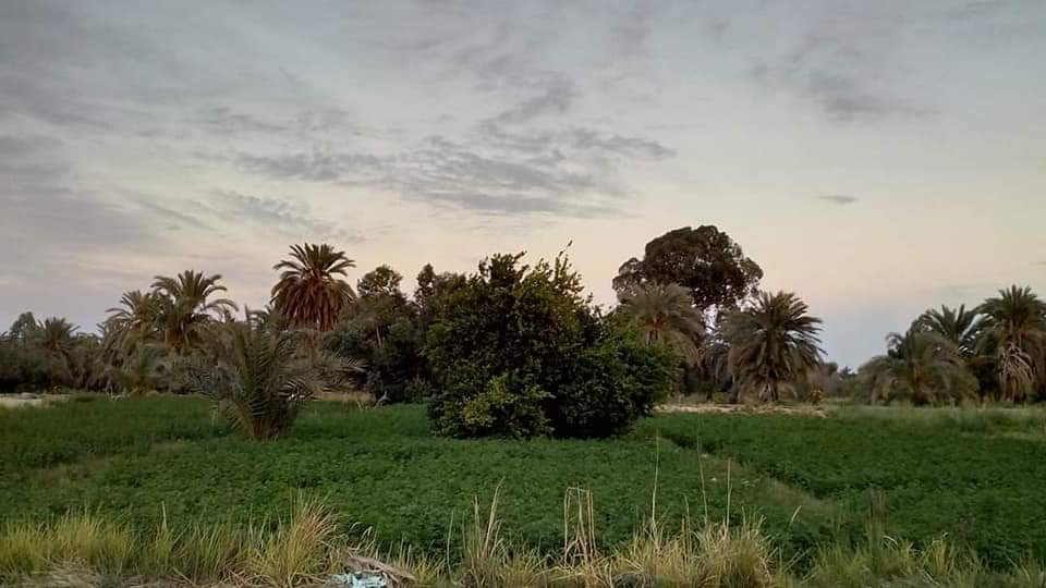 A treasure of Wonders of EgyptA white desert that makes you feel like visiting another planet