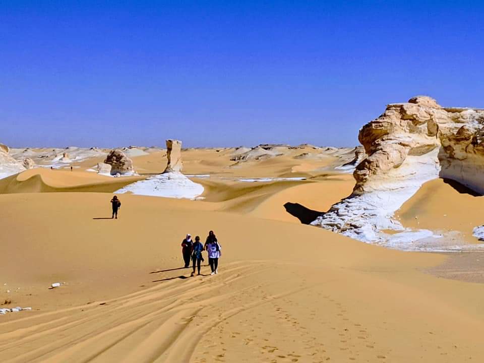A treasure of Wonders of EgyptA white desert that makes you feel like visiting another planet