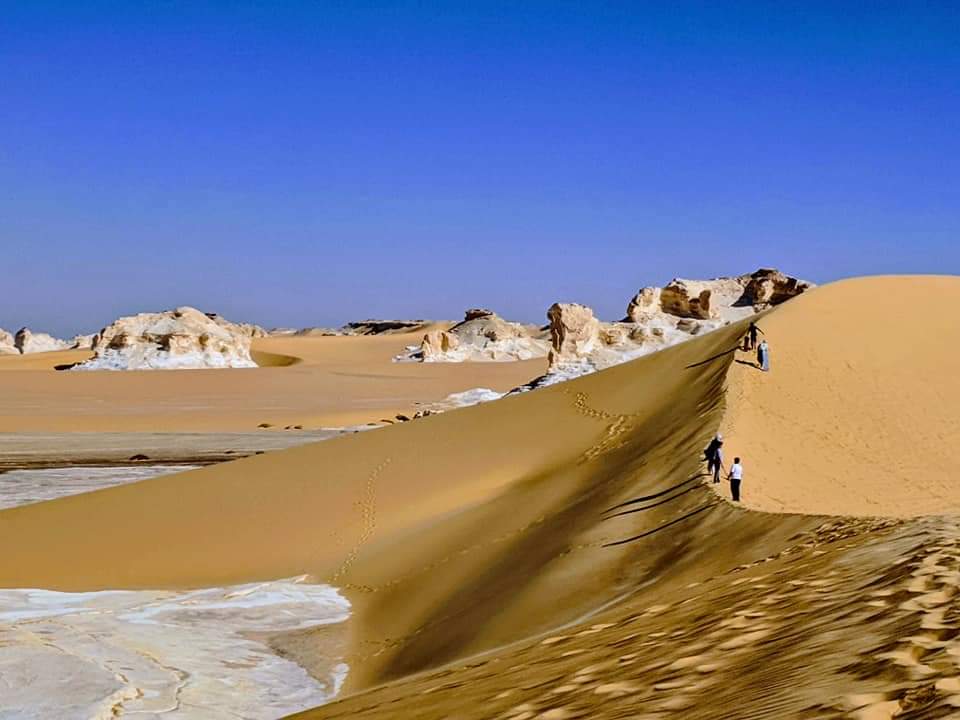 A treasure of Wonders of EgyptA white desert that makes you feel like visiting another planet